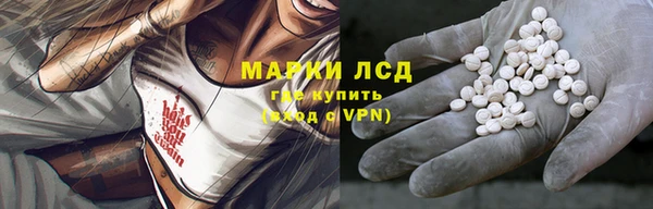 гидра Аркадак