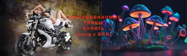 гидра Аркадак