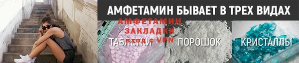 гидра Аркадак