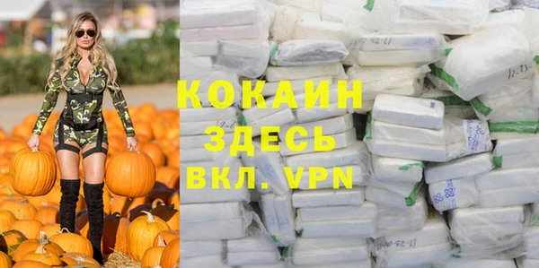 гидра Аркадак