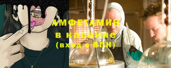 гидра Аркадак
