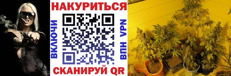 Шишки марихуана планчик Искитим